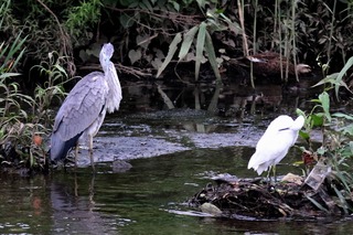 IMG_6814