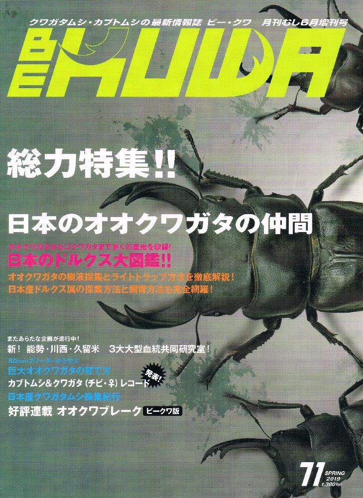 イメージ 1