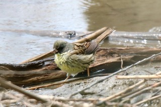IMG_2786