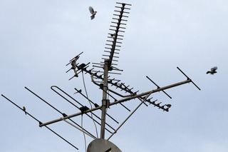 IMG_9030