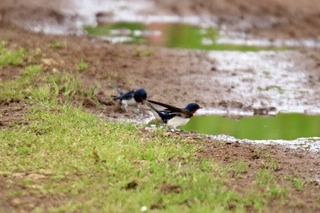 IMG_0025