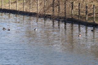 IMG_8267