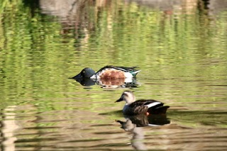 IMG_4717