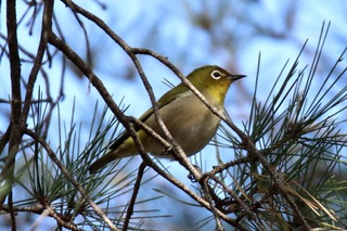IMG_7784