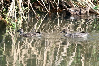 IMG_9384