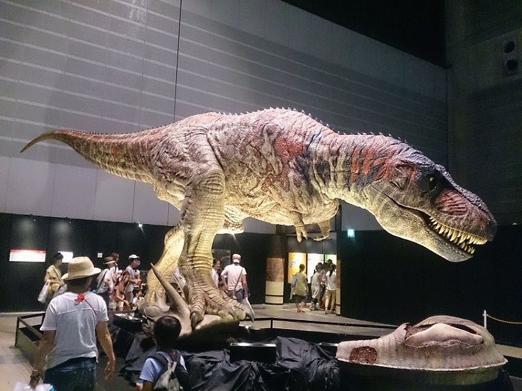 イメージ 6