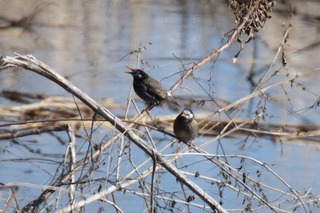 IMG_0815