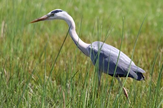 IMG_2566