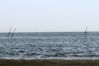 IMG_4855