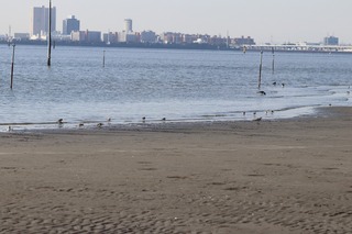 IMG_0234