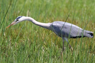 IMG_2576