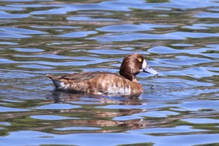 IMG_2425