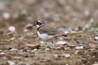 IMG_9970