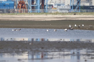 IMG_4464