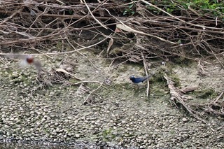 IMG_0167