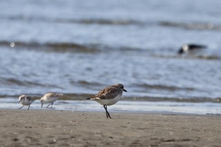 IMG_0200