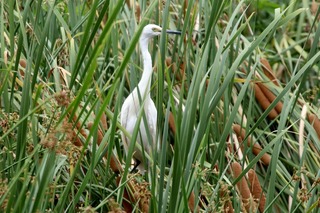 IMG_5669