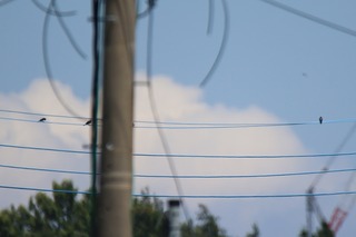 IMG_9613