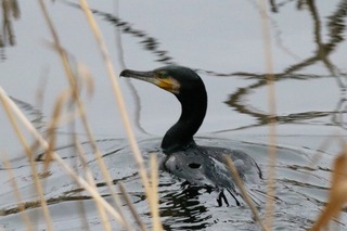 IMG_4698