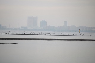 IMG_8346