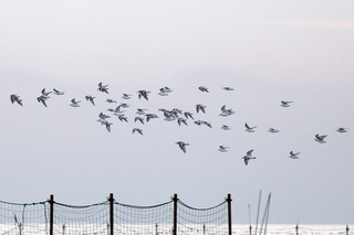 IMG_8109