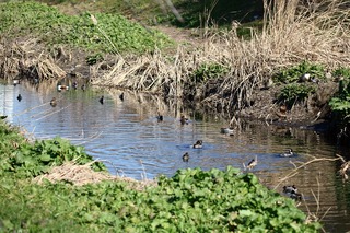 IMG_2580