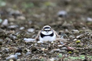 IMG_7638