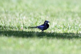 IMG_5833