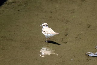 IMG_1577
