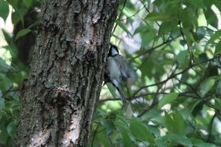 IMG_5717