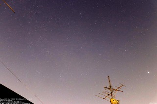 IMG_5344