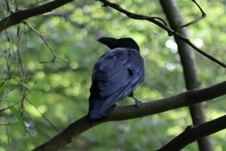 IMG_5363