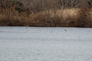 IMG_8802