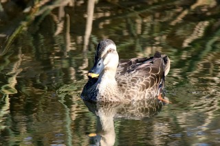 IMG_9928