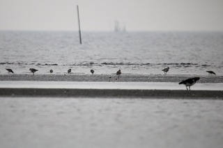 IMG_8561
