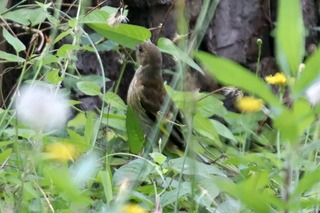 IMG_8898