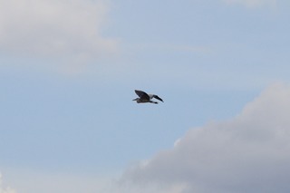 IMG_5677