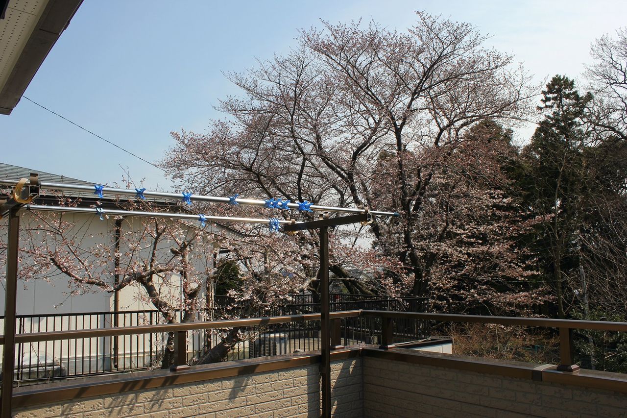 イメージ 9