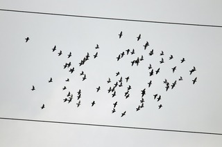 IMG_4070