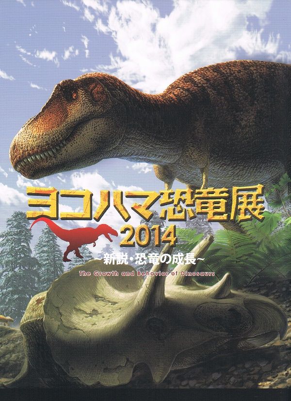 イメージ 10