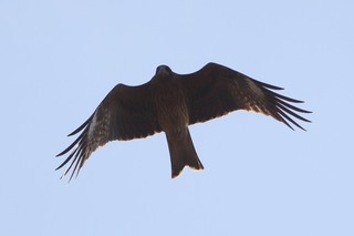 IMG_8190