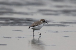 IMG_8470