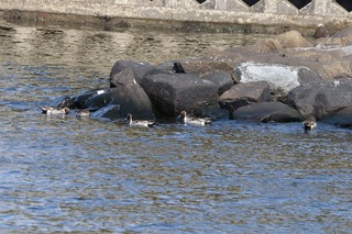 IMG_0363