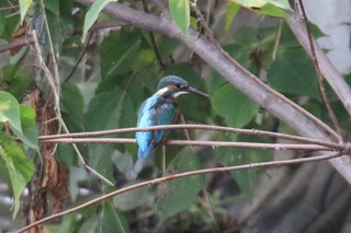 IMG_9067