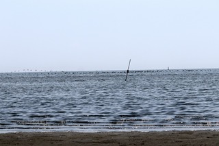 IMG_4851