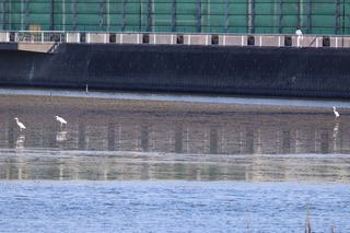 IMG_9581