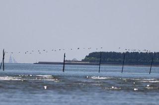 IMG_4355