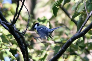 IMG_9884