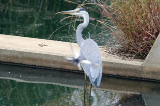 IMG_5036