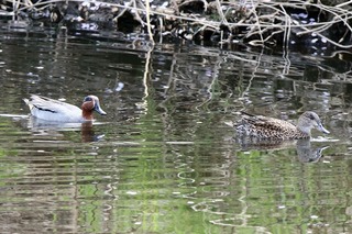 IMG_0273